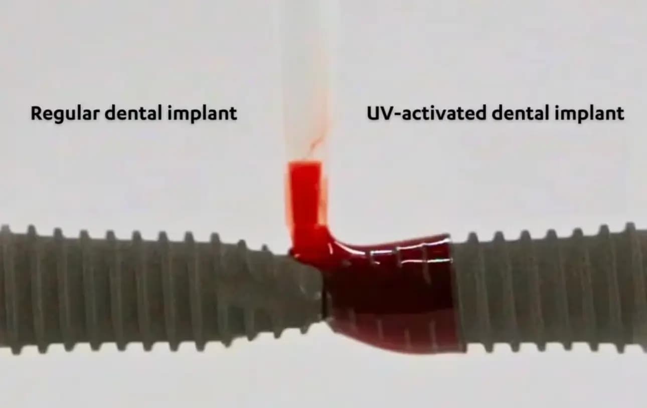 UV-treated titanium implant vs untreated implant, bone integration comparison from Dr. Ogawa's UCLA photofunctionalization research